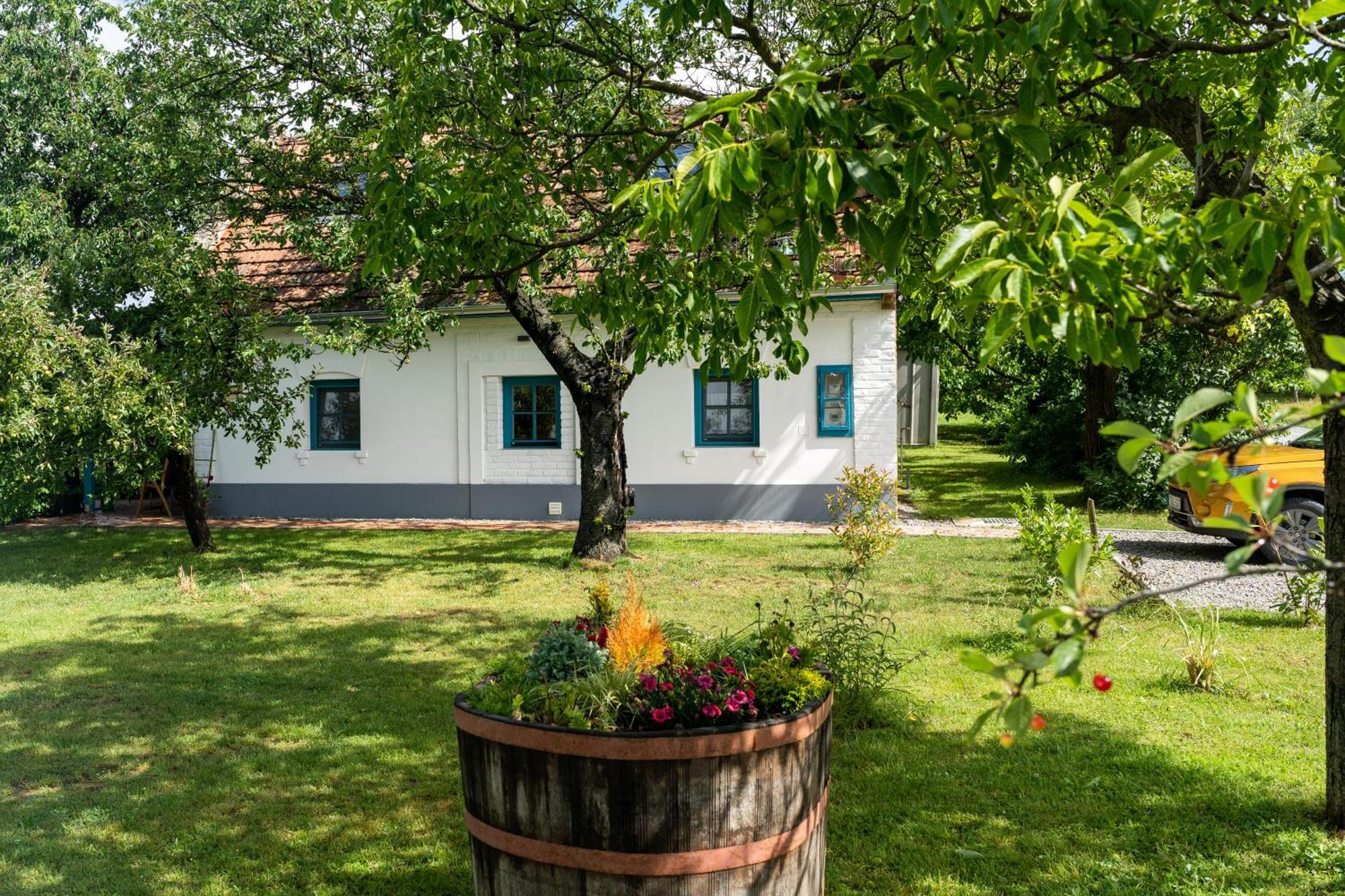 Vakantiehuis Stueble Loft *